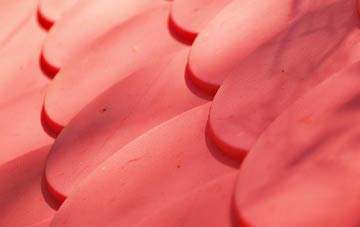 Tolleshunt Major plastic roof costs